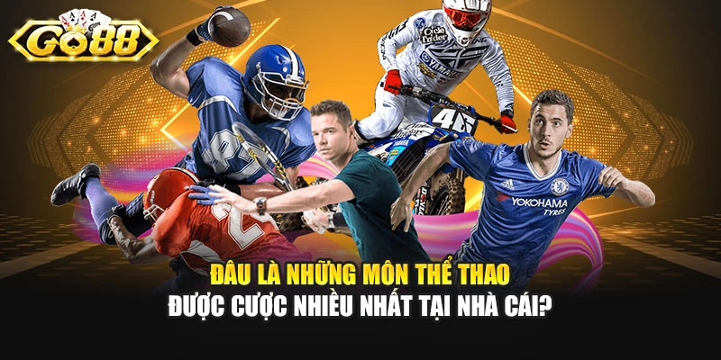 Đâu là những môn thể thao được cược nhiều nhất tại nhà cái