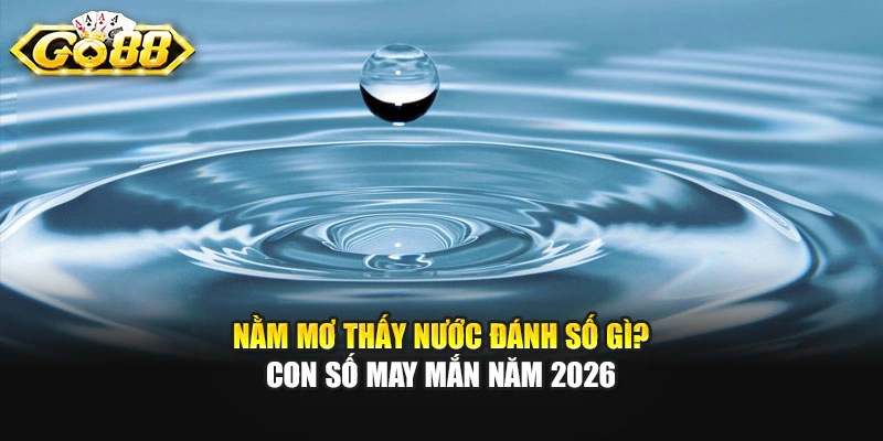 Nằm Mơ Thấy Nước Đánh Số Gì? Con Số May Mắn Năm 2026
